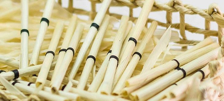 Cigarros de Palha: Como Escolher a Melhor Palha e Encontrar o Palheiro Ideal Para o Seu Estilo